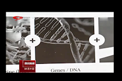 四川卫视：pp电子官方网站牵手诺奖团队 共建抗癌实验室（10月9日）
